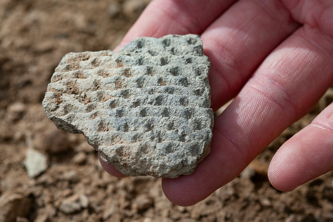 Pottery Sherds at Pueblo Alto