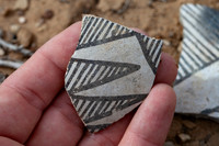 Pottery Sherds at