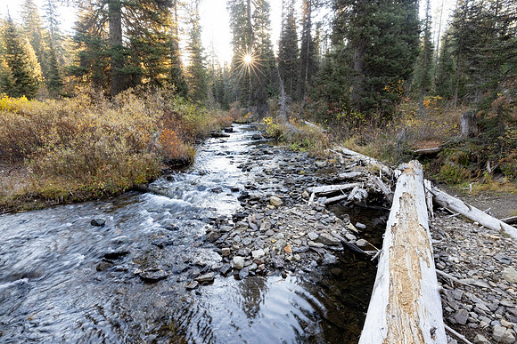 Proposition Creek crossing on Mountain Ash Creek Trail