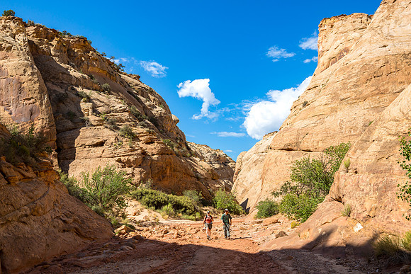 Capitol Gorge Trail