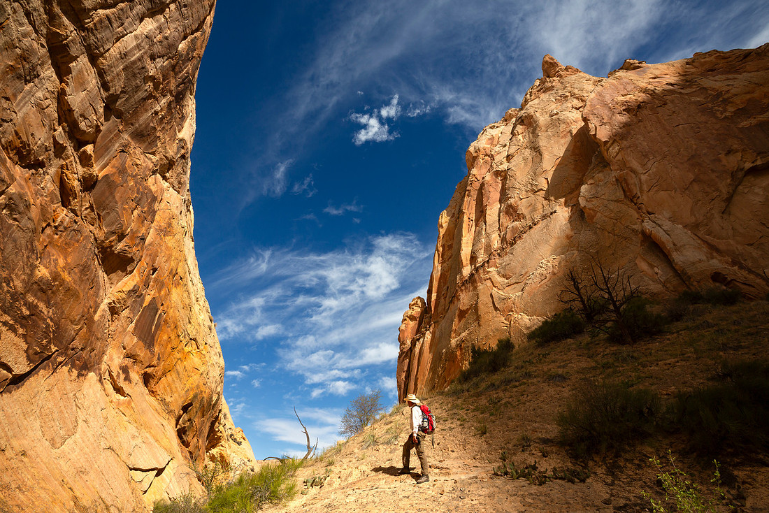 Will in Suprise Canyon