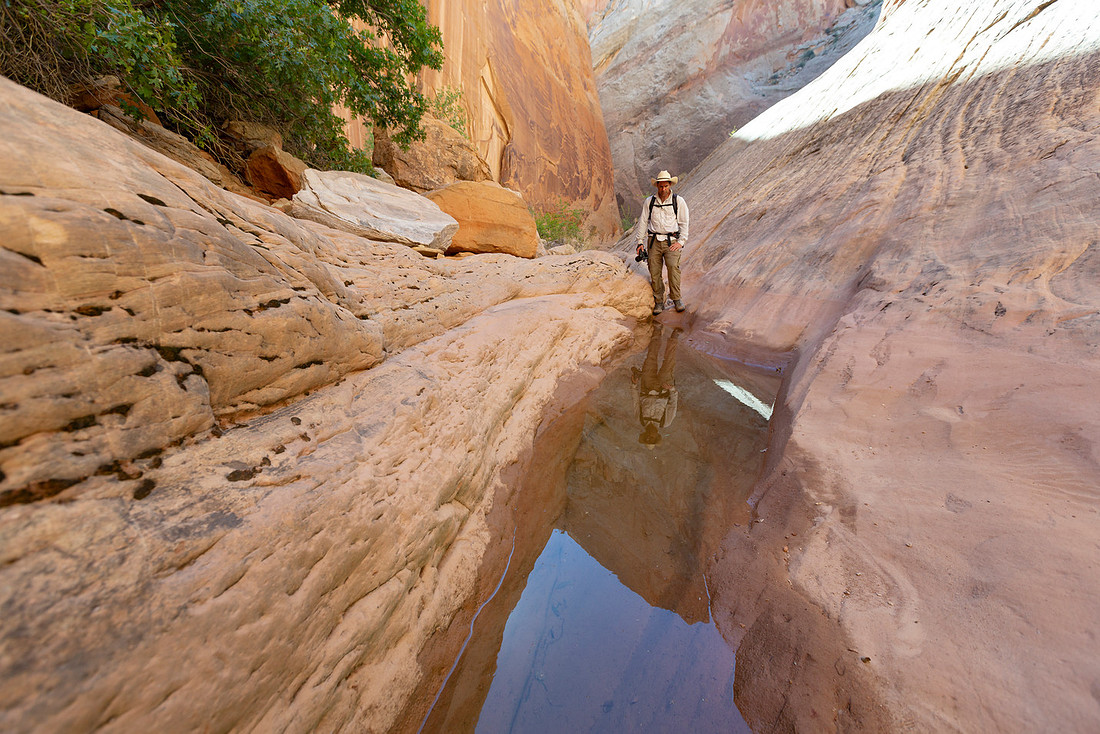 Pothole Reflections