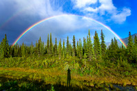 Rainbow on Parks Highway
