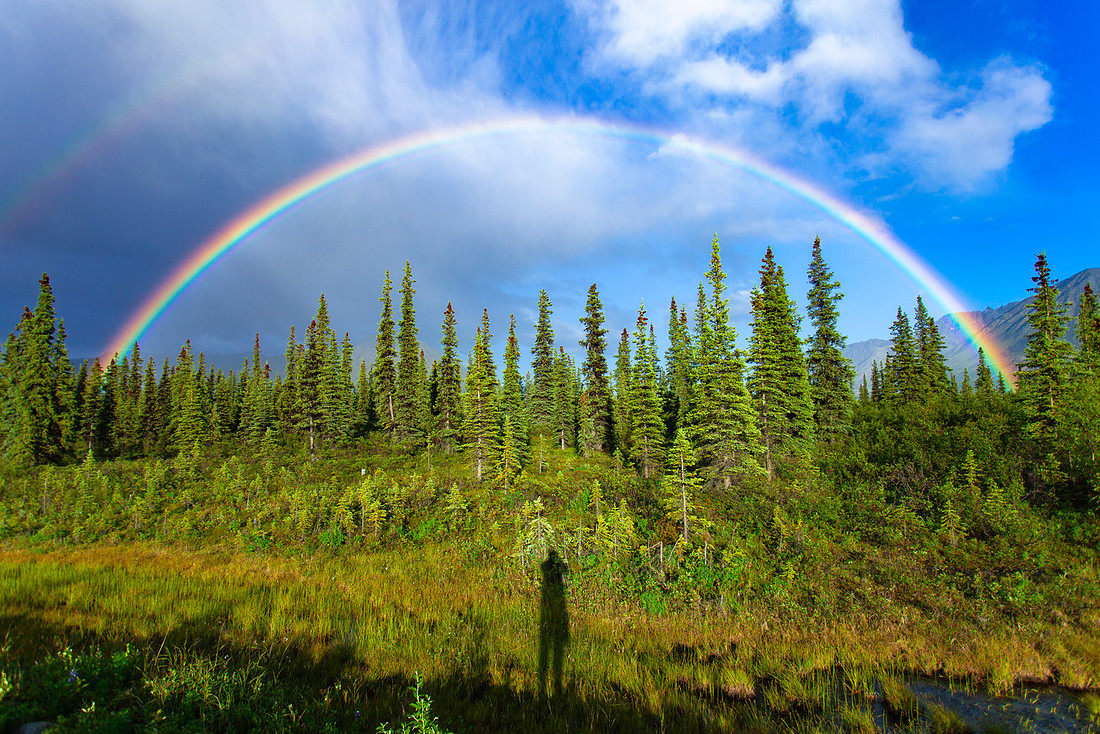 Rainbow on Parks Highway