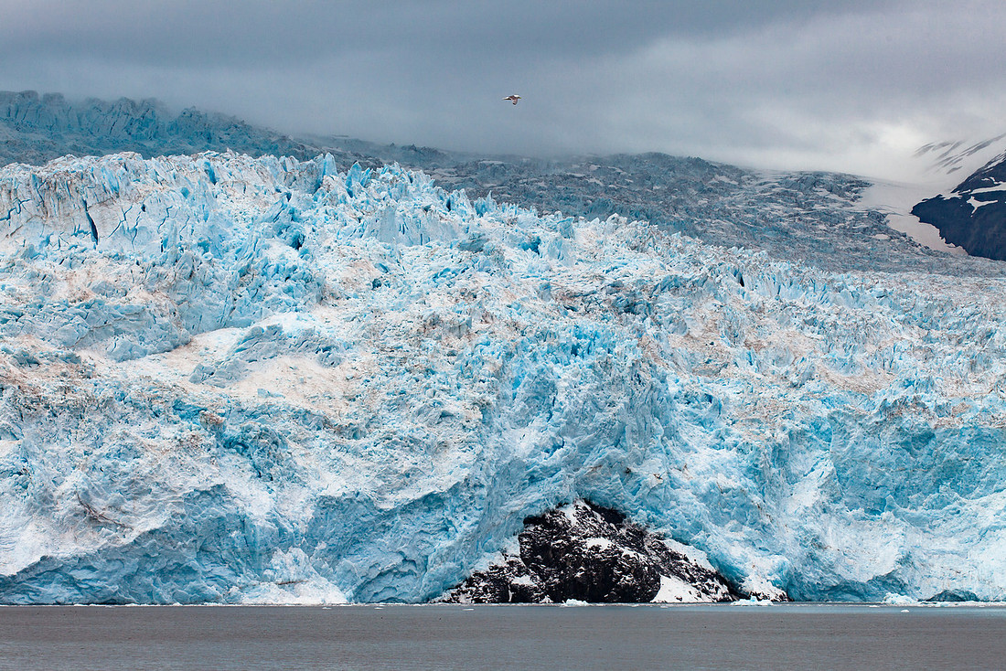 Aialik Glacier