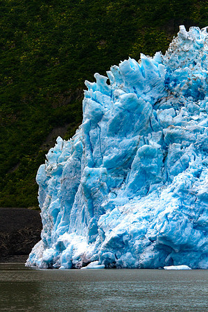 Aialik Glacier terminus