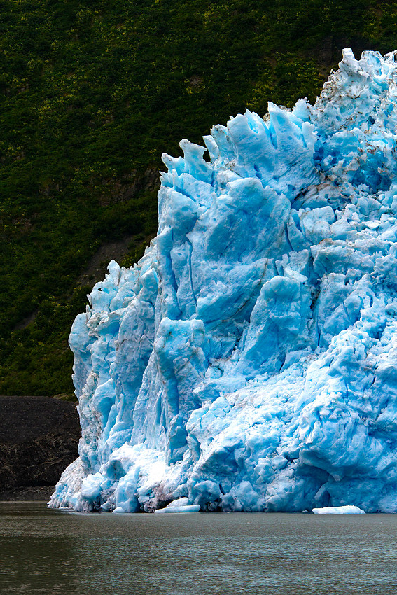 Aialik Glacier terminus
