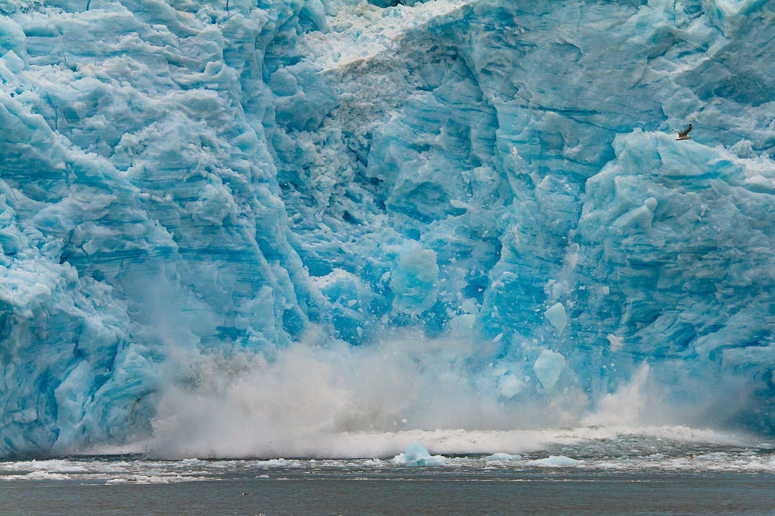 Aialik Glacier calving