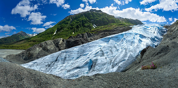 Exit Glacier Panorama
