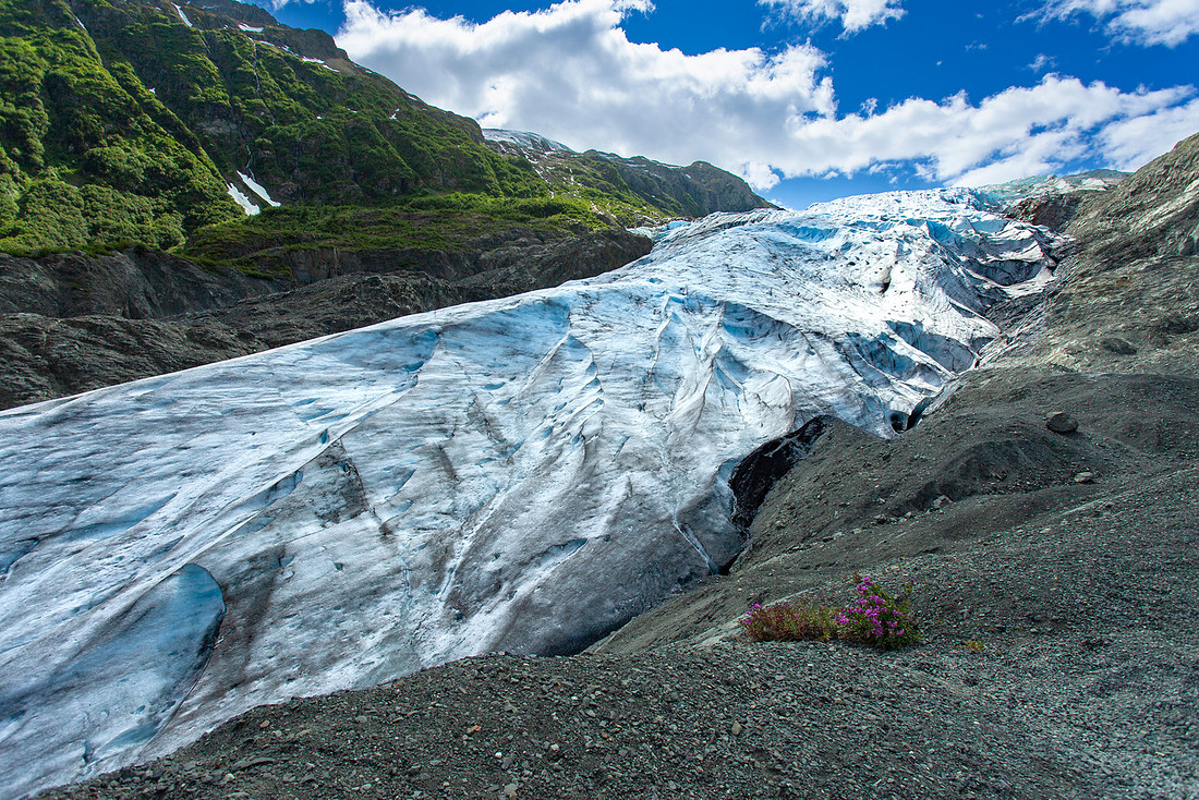 Exit Glacier