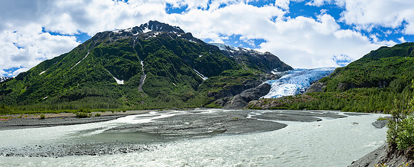Exit Glacier terminus panorama