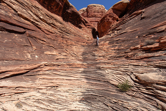 Pour Spout Landscape