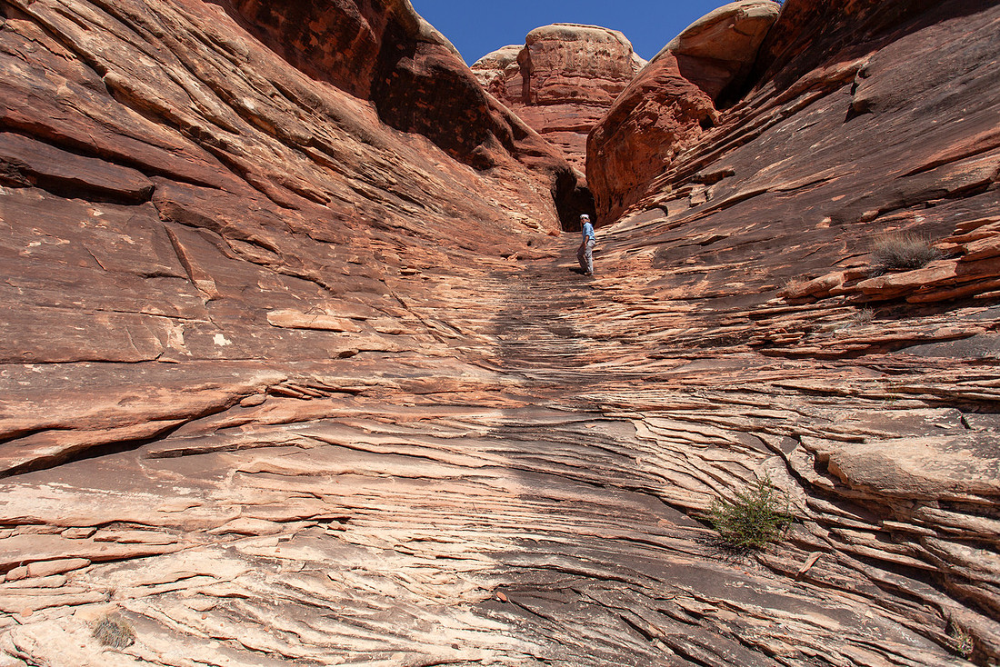 Pour Spout Landscape