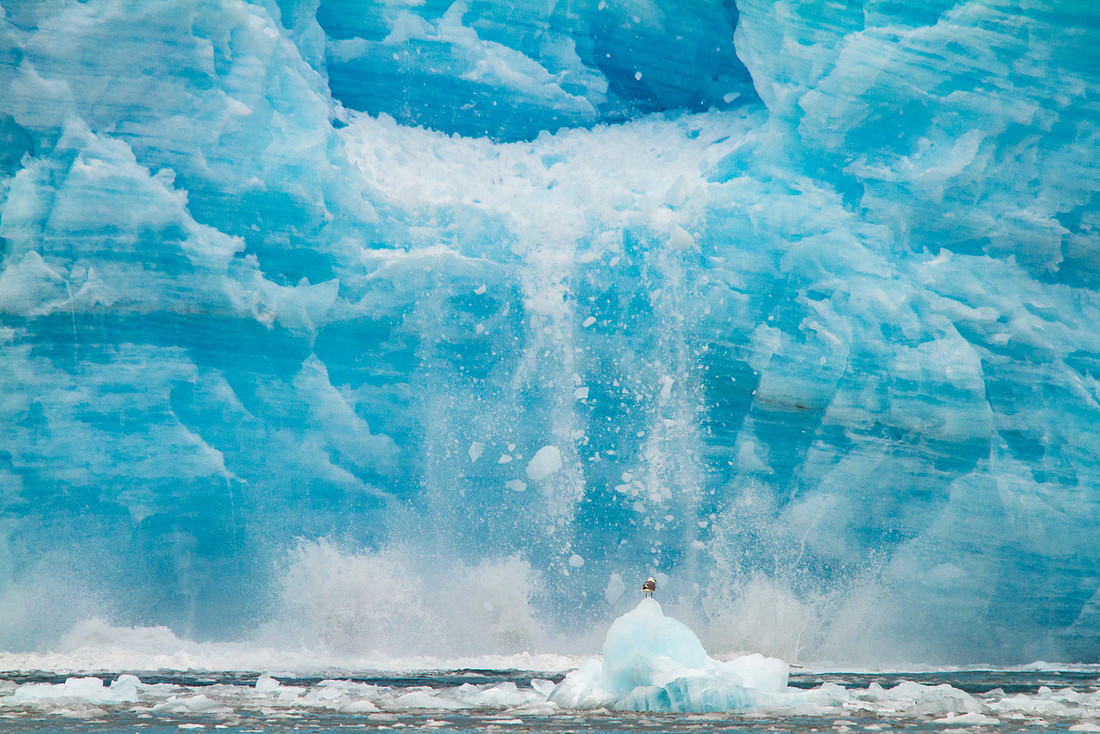 Aialik Glacier, Enhance, Enhance