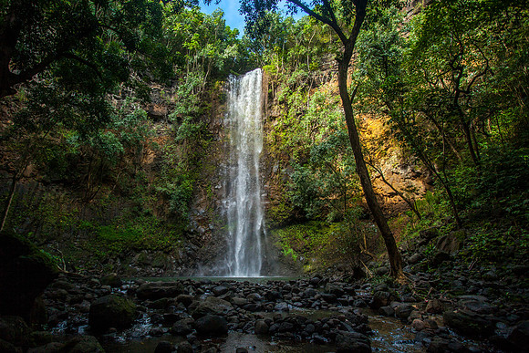 Wailua River State Park