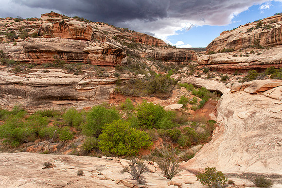 Armstrong Canyon