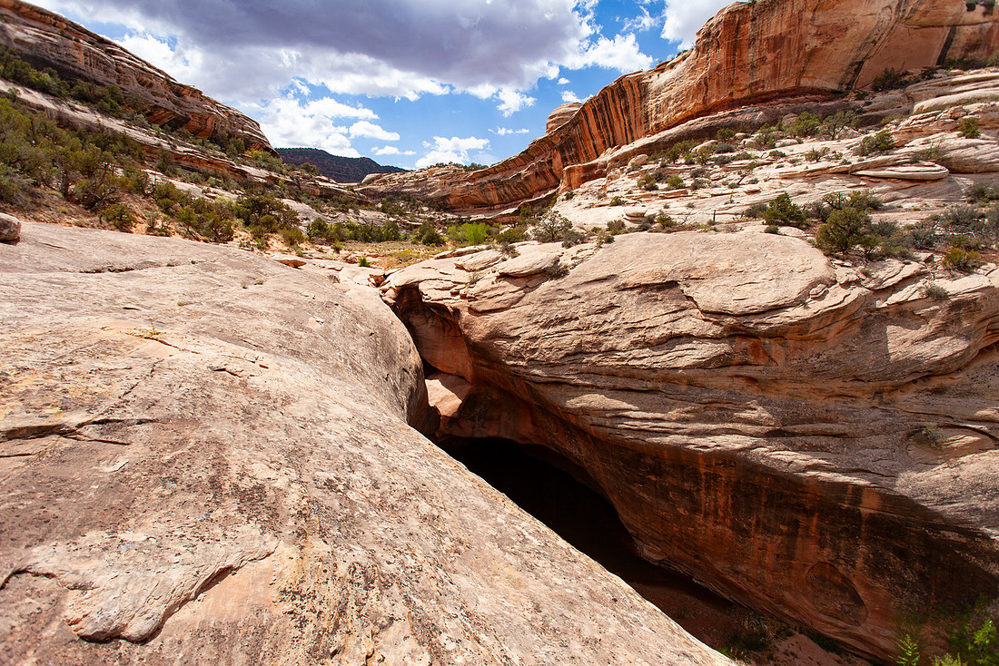 Trail above Kachina Bridge
