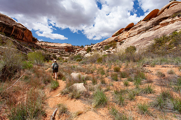 Armstrong Canyon approaching Kachina Bridge