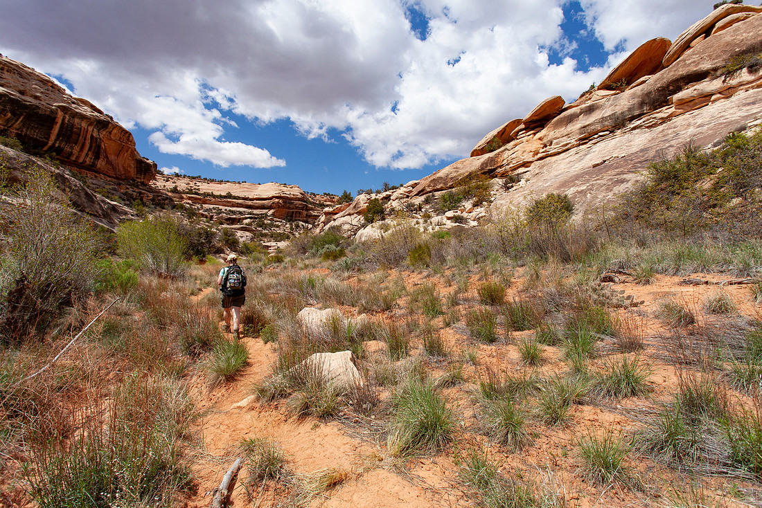 Armstrong Canyon approaching Kachina Bridge