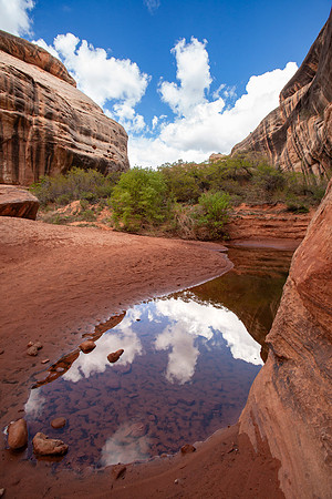 Reflections Near Kachina