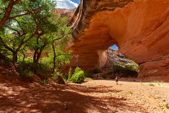 Hiker approaching Kachina Bridge