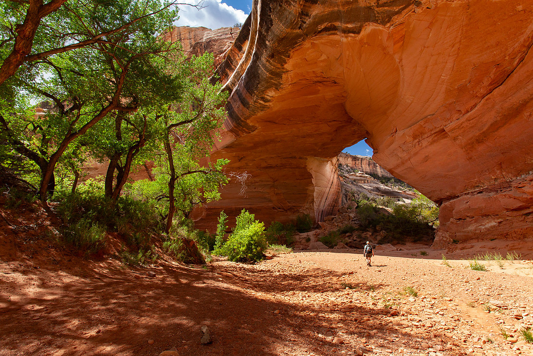 Hiker approaching Kachina Bridge
