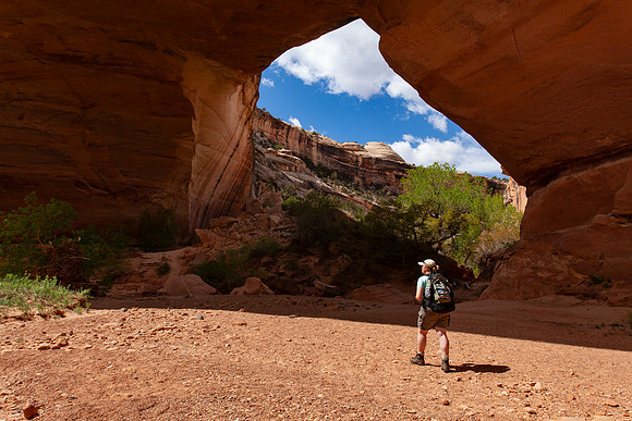 Kachina Bridge Hiker