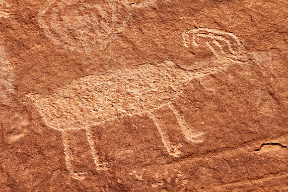 Desert Bighorn Petroglyph