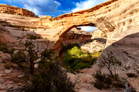 Natural Bridges National Monument