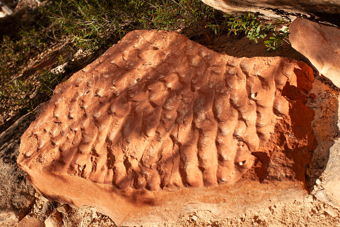 Sandstone patterns