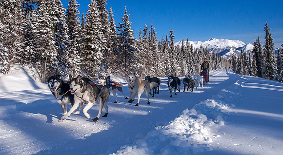 Denali Team Wide Angle