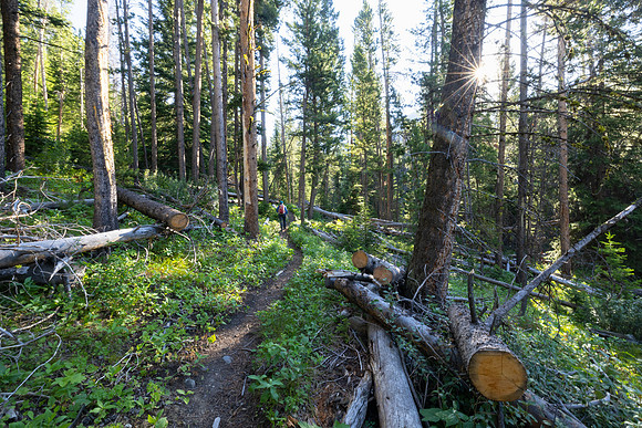 20230722-jwf-3996