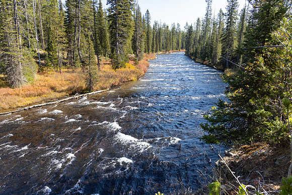 Falls River from Mountain Ash Creek Trail