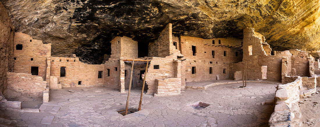 Spruce Tree House