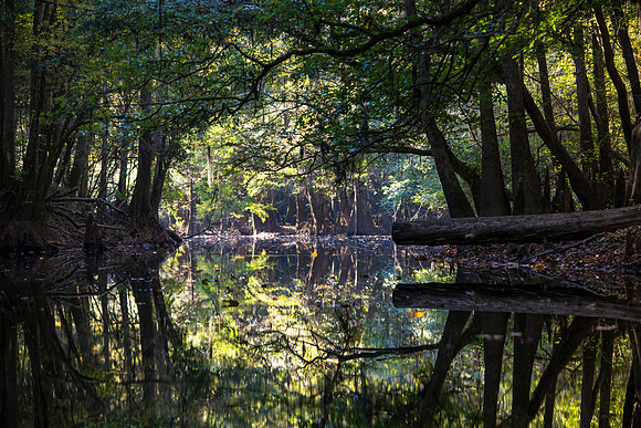 Reflections on Cedar Creek