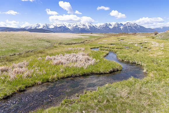 Elk Creek and the Centennial Mountains