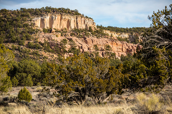 Sandstone Cliffs