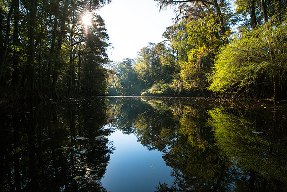 Reflections on Cedar Creek (2)