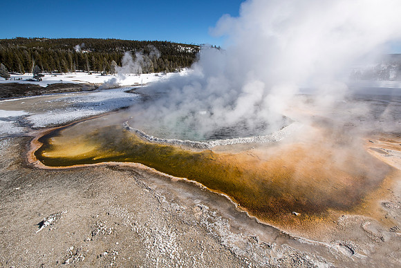 Crested Pool
