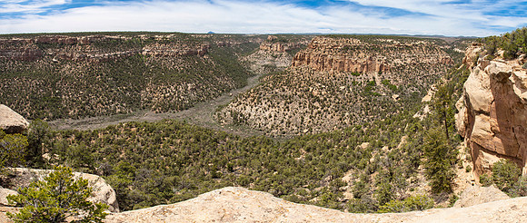 Petroglyph Trail Viewpoint