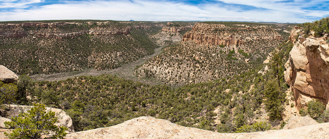Petroglyph Trail Viewpoint