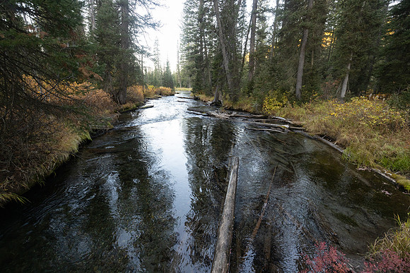 Mountain Ash Creek crossing near 9U4
