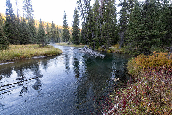Mountain Ash Creek confluence near 9U4