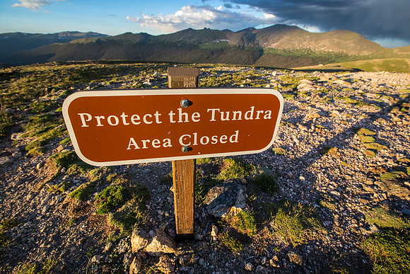 Protect The Tundra
