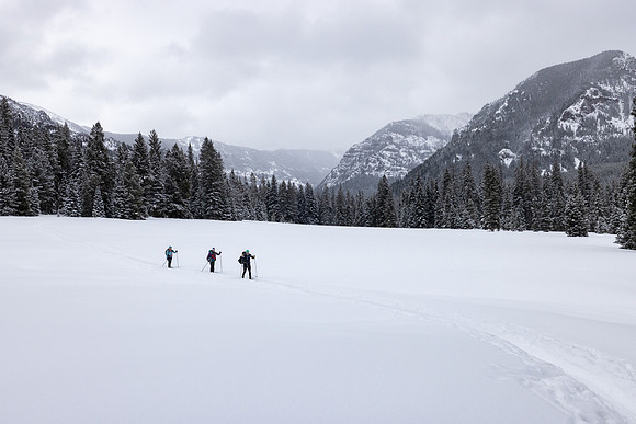 Custer Gallatin National Forest Maxey Cabin: skiers in the meado