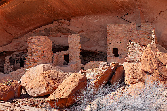 bears ears