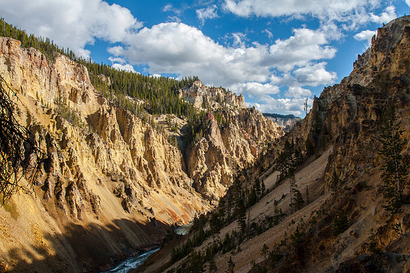 Grand Canyon of Yellowstone
