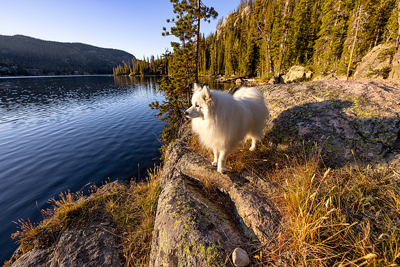 CGNF, AB Wilderness: Granite Lake (13)