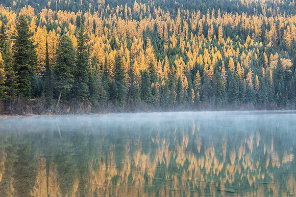 Morning Fog on Bowman Lake