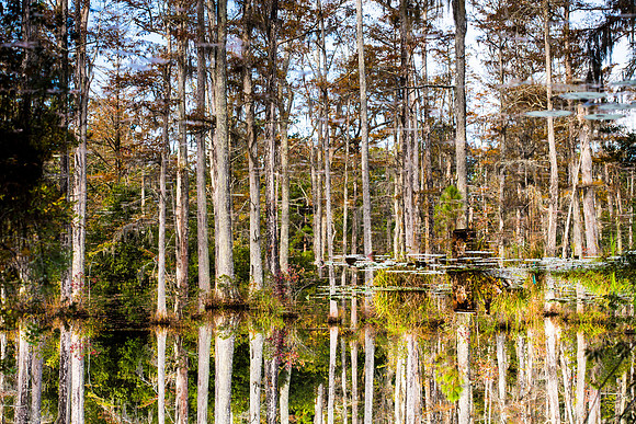Reversed Reflections
